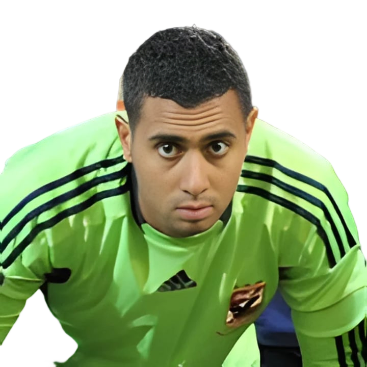 Ahmed Adel Abdel Moneam