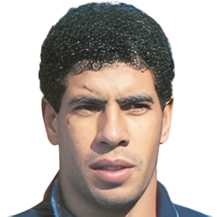أحمد شوبير