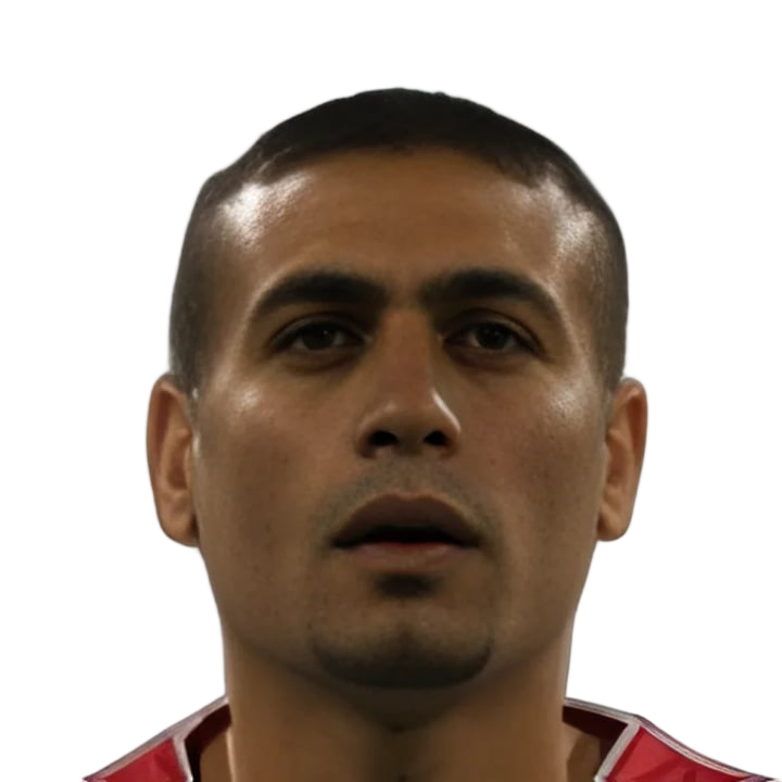 عامر ذيب