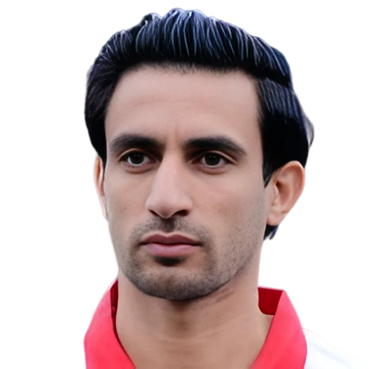 Ayman Hefny