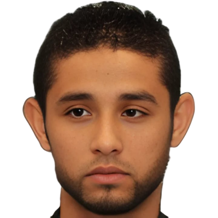 Hassan Abdel-Fattah