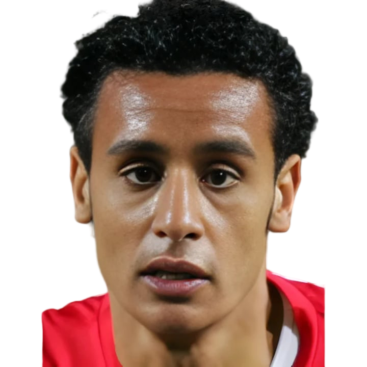 طارق السيد