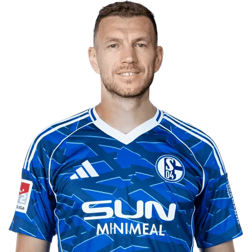 Edin Džeko