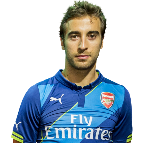 Mathieu Flamini