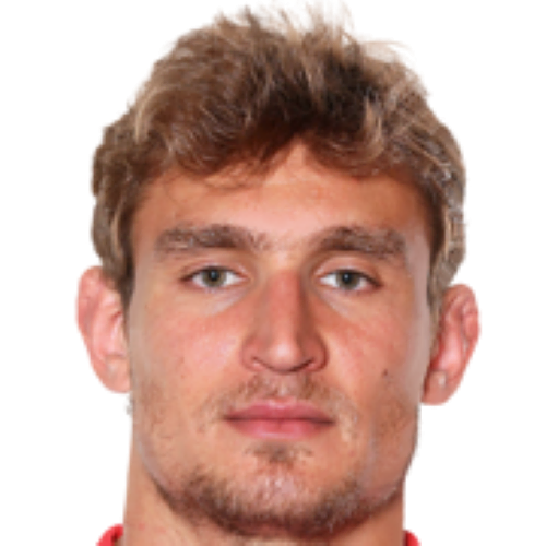 Nikica Jelavić