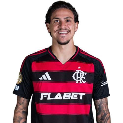 Pedro Guilherme Abreu dos Santos
